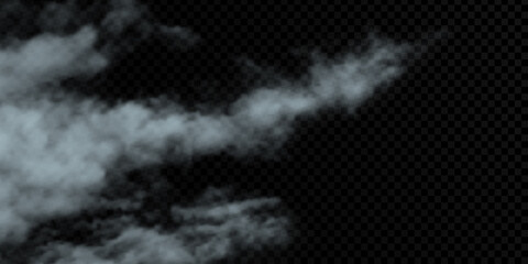 Vector cloud on a transparent background, smoke. Gradient mesh.