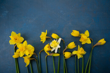 Overhead view of yellow spring flowers daffodils on green surface copy space background