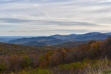 Shenandoah National Park, Virginia, USA - November 3, 2021: Mountain Scenery With Beautiful Fall Trees in the Foreground and a Bright Blue Sky in the Background