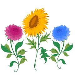 Kwiaty słonecznik chryzantema prosta ilustracja rysunek 
Flower sunflower illustration drawing  - obrazy, fototapety, plakaty