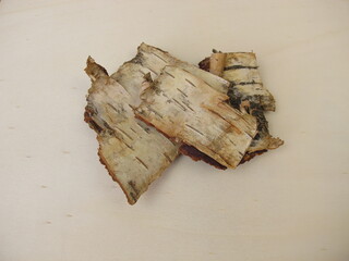 Birch bark - bark pieces from birch tree