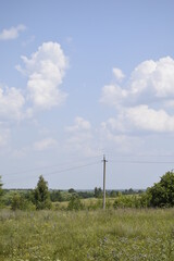 green field and sky