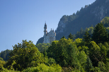 Fototapeta na wymiar castle in alps