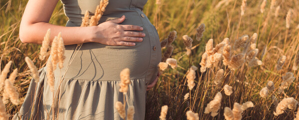 pregnant woman belly among dry fluffy grass on field, relaxation on summer nature, preparation for...