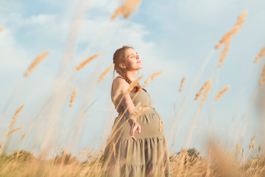 young beautiful pregnant woman walks in field among dry fluffy grass, relaxation on summer nature, preparation for childbirth, healthy motherhood
