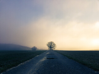 Mystische Licht und Nebelstimmung auf der Schwäbsichen Alb im herbst