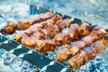 Appetizing raw meat kebab is cooked on the grill on the wood, in the open air. The kebab is cooked on skewers.