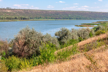 Nature reserve with river . Riverside scenery in summer