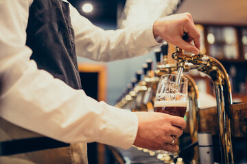 Male bartender pouring beer at a pub