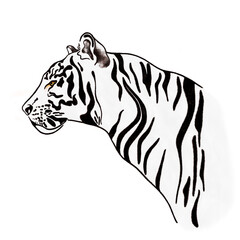 White Tiger head in profile watercolor illustration - 473774945