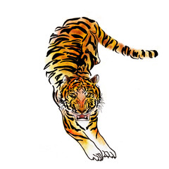 Full-length jumping tiger watercolor illustration