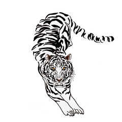 Full-length jumping white tiger watercolor illustration