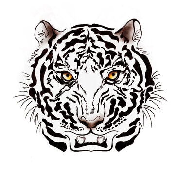 White Tiger head in full face watercolor illustration