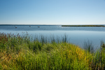 Purekkari cape is the northernmost place of mainland Estonia, located on the Pärispea Peninsula in Lahemaa National Park near the village Käsmu with bird island