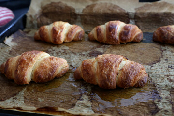 Selbsgemachte Croissants auf einem Backblech