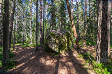Majakivi–Pikanõmme study trail in Estonia, located at the western edge of Lahemaa National Park,...