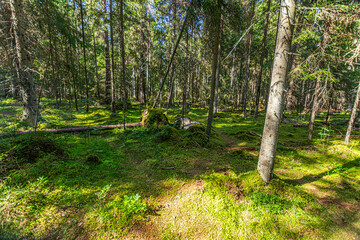 Majakivi–Pikanõmme study trail in Estonia, located at the western edge of Lahemaa National Park,...