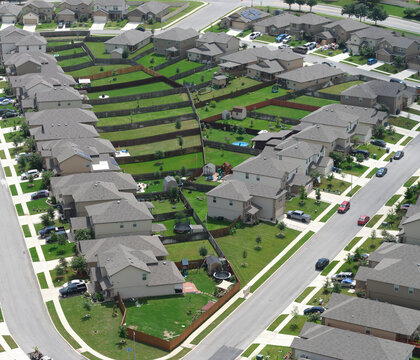 USA, Texas,San Antonio, Aerial view ofsuburban homes in summer