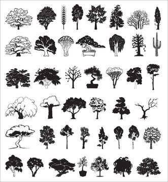Exotic trees, vector collection