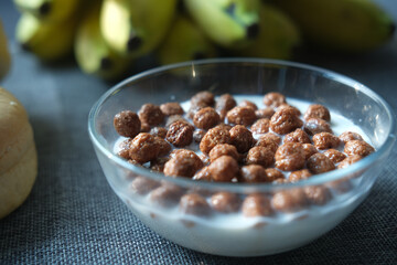  Top view of chocolate corn flakes in a bowl on pink 