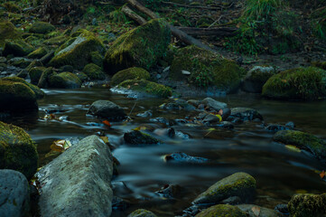 Fototapeta premium 一目八景.麗谷渓谷の清流
