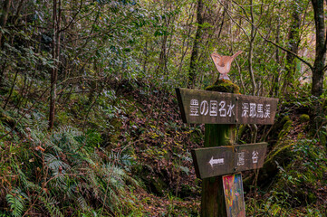 一目八景.麗谷渓谷の山道