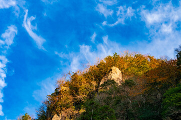 Fototapeta premium 一目八景.麗谷渓谷の紅葉