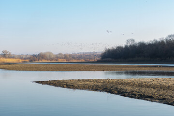 late autumn on the river, birds in the sky