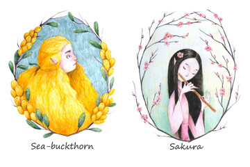 Berry girls. Sea-buckthorn and Sakura. Set of hand-drawn isolated illustrations. Colored pencils