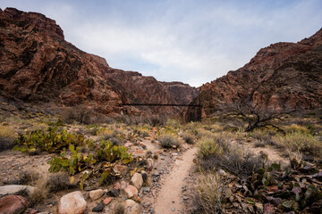 Prickly Pear Cactus Line The Trail To the Boat Landing Below The Black Bridge