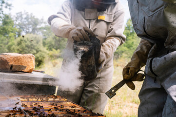 Male and female beekeepers using bee smoker while working at farm