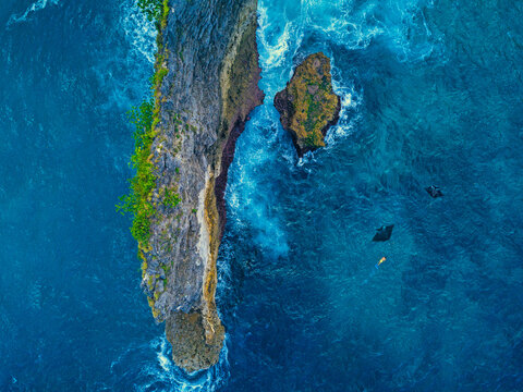 Aerial view of man swimming with manta rays near coastal cliff of Nusa Penida island