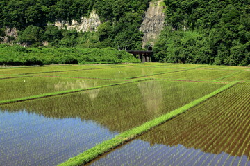 Obraz premium 田園と鉄道
