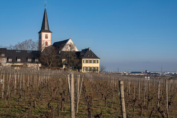 View towards the parish church of St. Peter and Paul in Hochheim am Main / Germany on a sunny day 