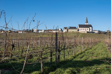 View towards the parish church of St. Peter and Paul in Hochheim am Main / Germany on a sunny day 