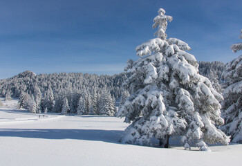 paysage de neige en hiver à Chamrousse dans le massif de Belledonne dans les alpes en France