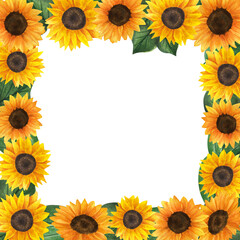 sunflowers frame, watercolor composition on white background