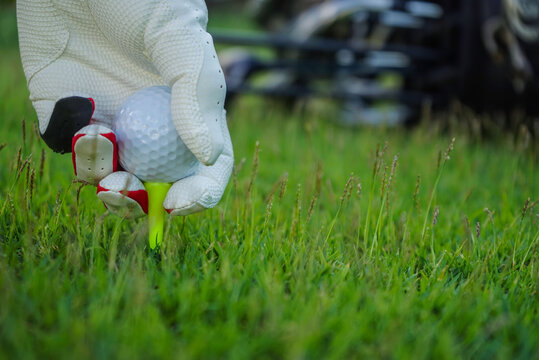 Hand Ware Leather Glove Putting Golf Ball On Tee Off In Course