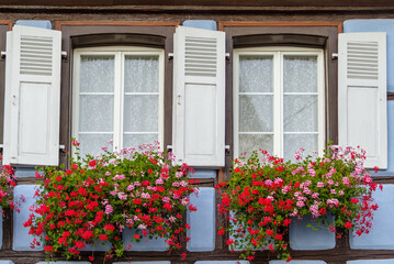Fototapeta na wymiar Windows with windows box and geraniums
