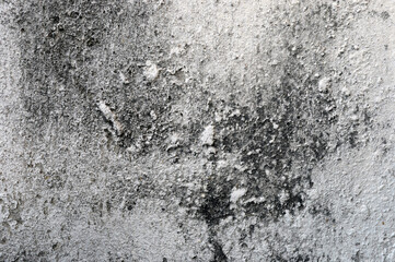 concrete wall texture