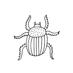 Bug. Insect. Doodle. Vector. Drawn by hand. Sketch. Silhouette. Black and white. Contour. Coloring.