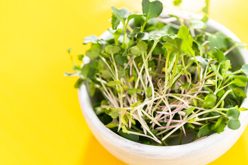 Microgreens