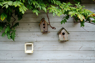 Bird houses in garden