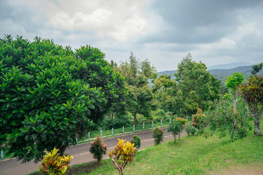 Photo landscape of old mansion backyard and road way going to up hills when cloudy sky. That photos perfect for travel poster, pamphlet and holidays brochure. 