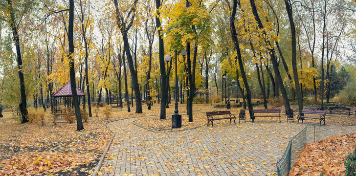 Autumn in the city park.  Park alley in autumn city park.