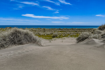 dunes in the sand
