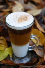 Autumn leaves and gingerbread latte coffee  