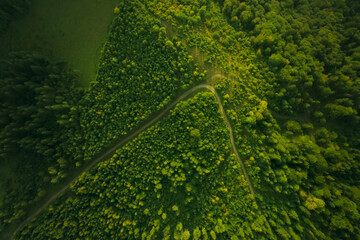 Aerial view of road surrounded by forest with beautiful green trees