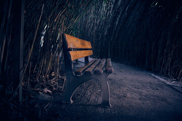  wooden bench in the park