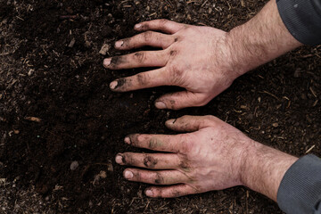Dirty hands of mature man on agricultural land